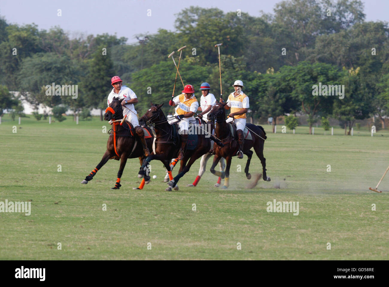 Pferd polo Stockfoto