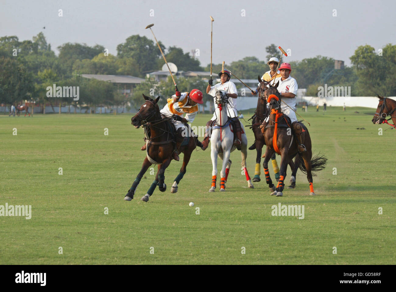 Pferd polo Stockfoto