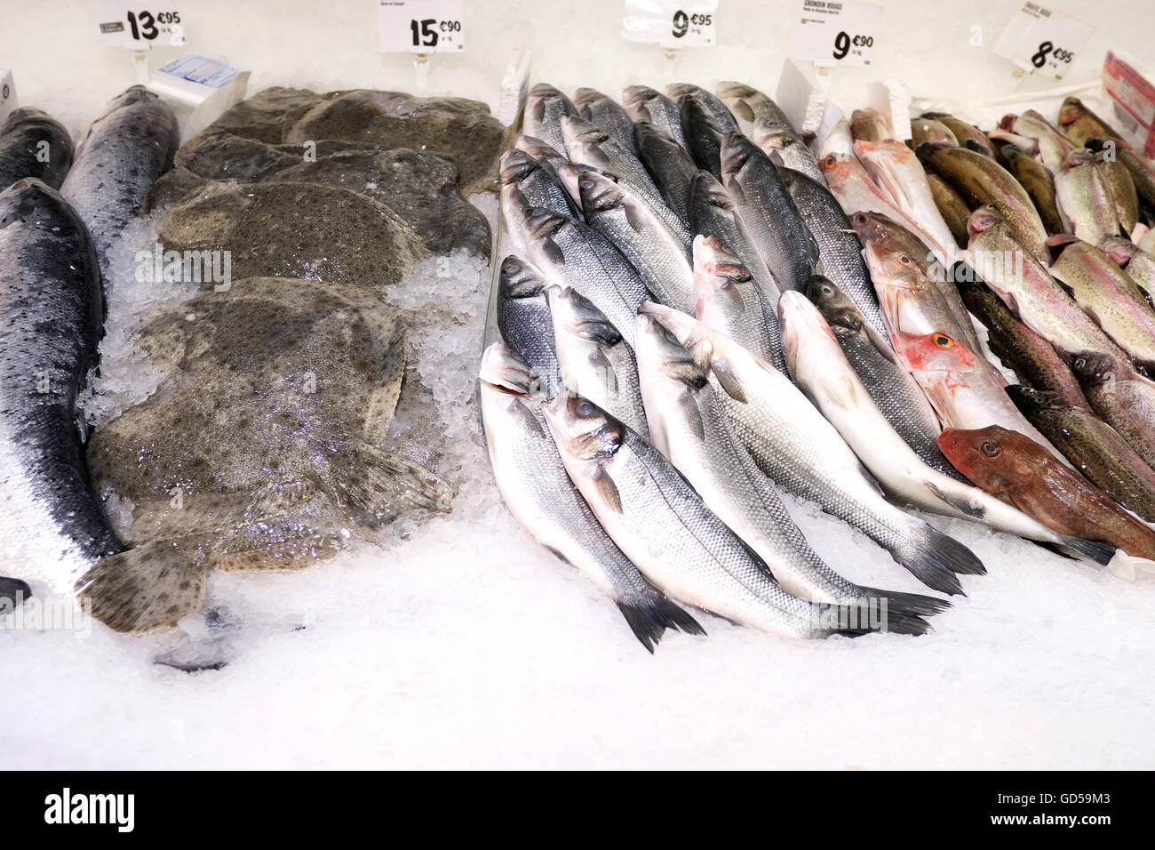 Verschiedene frische Fische zum Verkauf auf einen gefrorenen Supermarkt Zähler Stockfoto