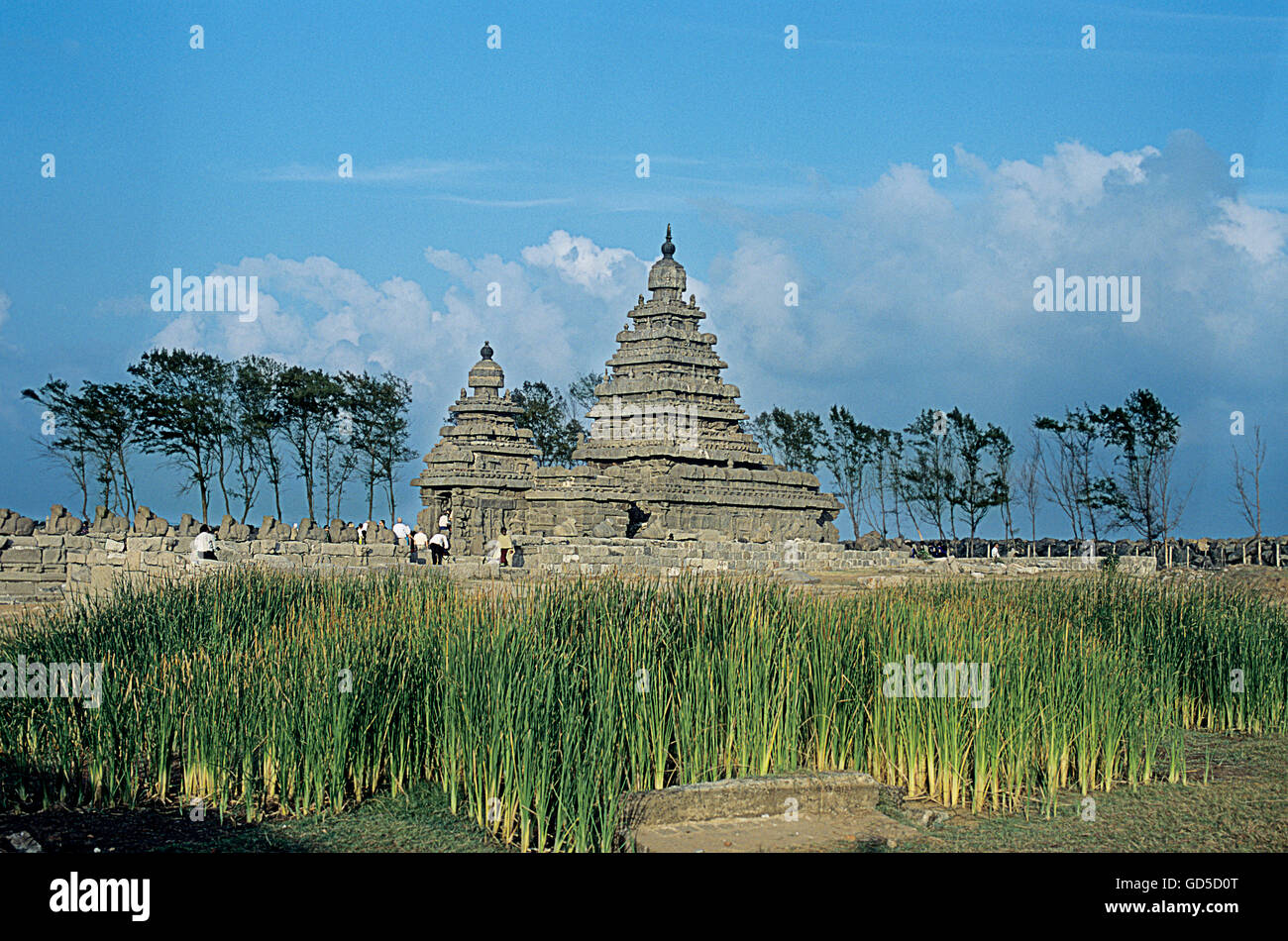 Shore Tempel Stockfoto