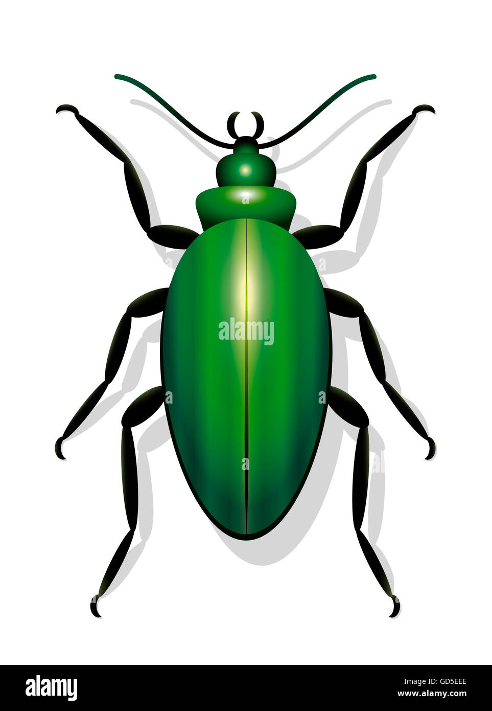 Grüner Käfer - Symbol Abbildung auf weißem Hintergrund. Stockfoto
