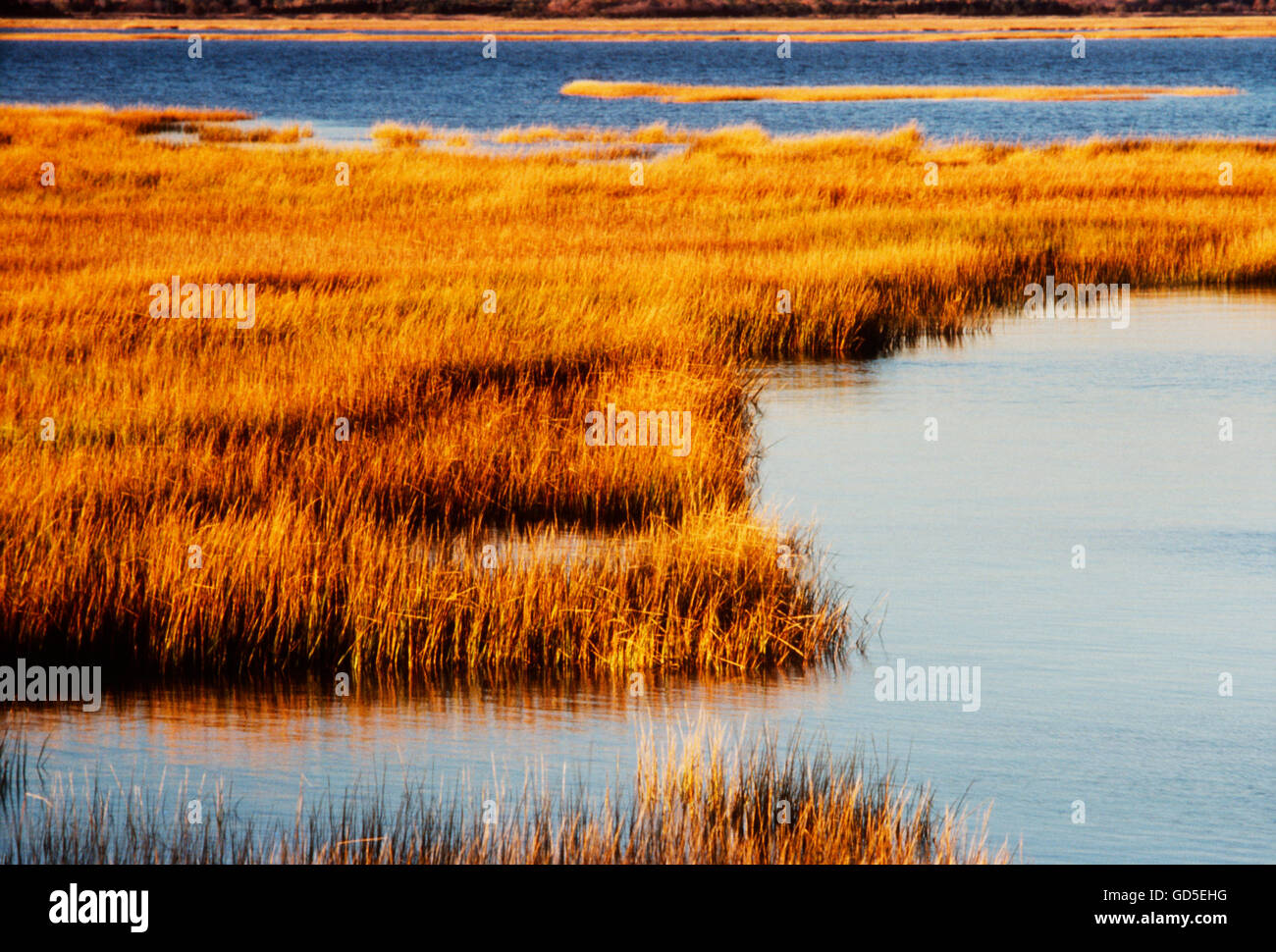 Sonnenuntergang über Sumpfgras und Feuchtgebiete an der Küste von New Jersey; USA Stockfoto