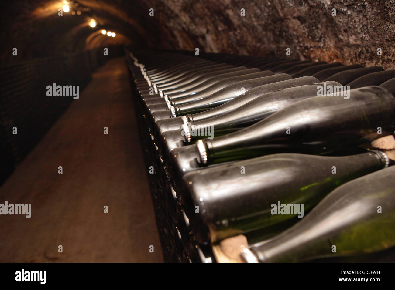 Sekt Flaschen im Keller des Penedés Weinregion, Katalonien, Spanien. Stockfoto