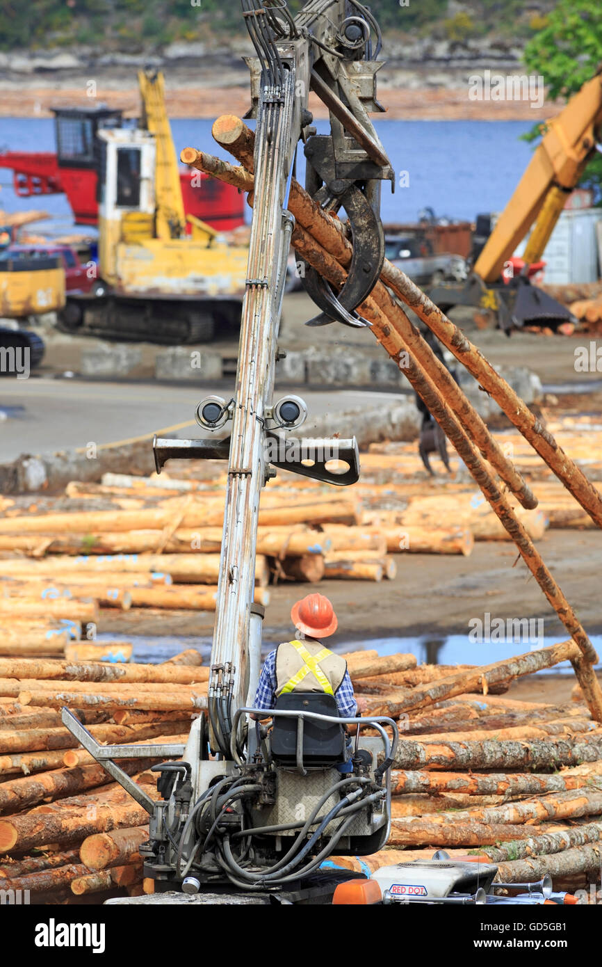 Selbst laden Anmeldung Lkw Operator Beladung Protokollen am Sägewerk, Ladysmith, Vancouver Island, Britisch-Kolumbien Stockfoto
