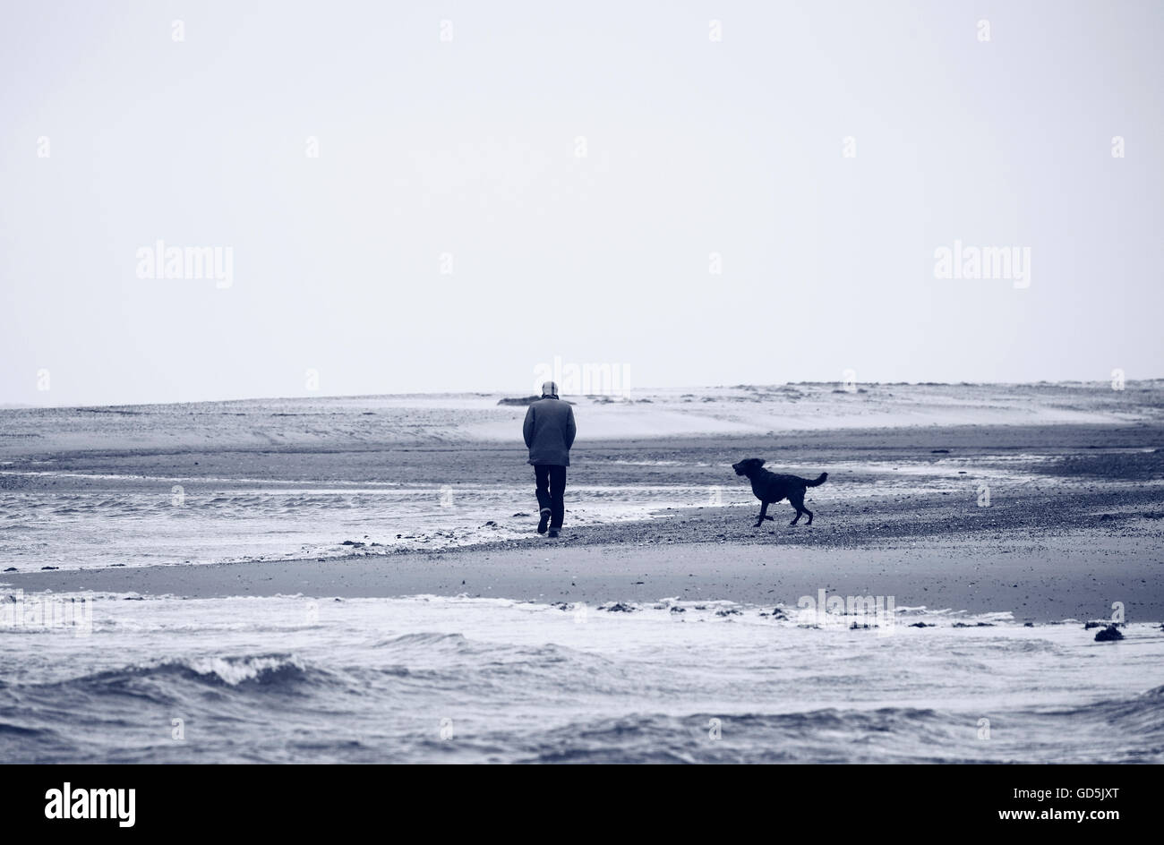 Mann mit einem Hund an einem Strand zu Fuß. Stockfoto