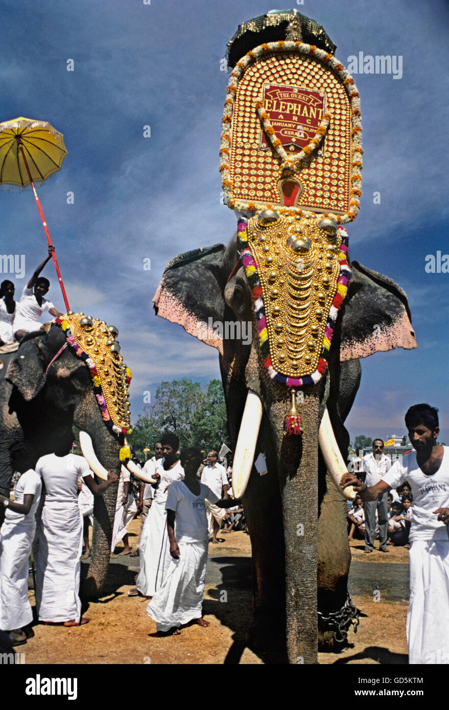 Elefanten-show in Trichur Stockfoto
