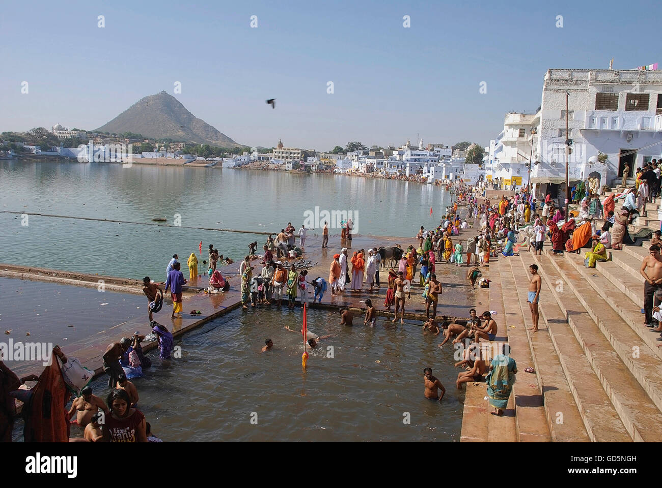 Anhänger in Pushkar Ghat Stockfoto