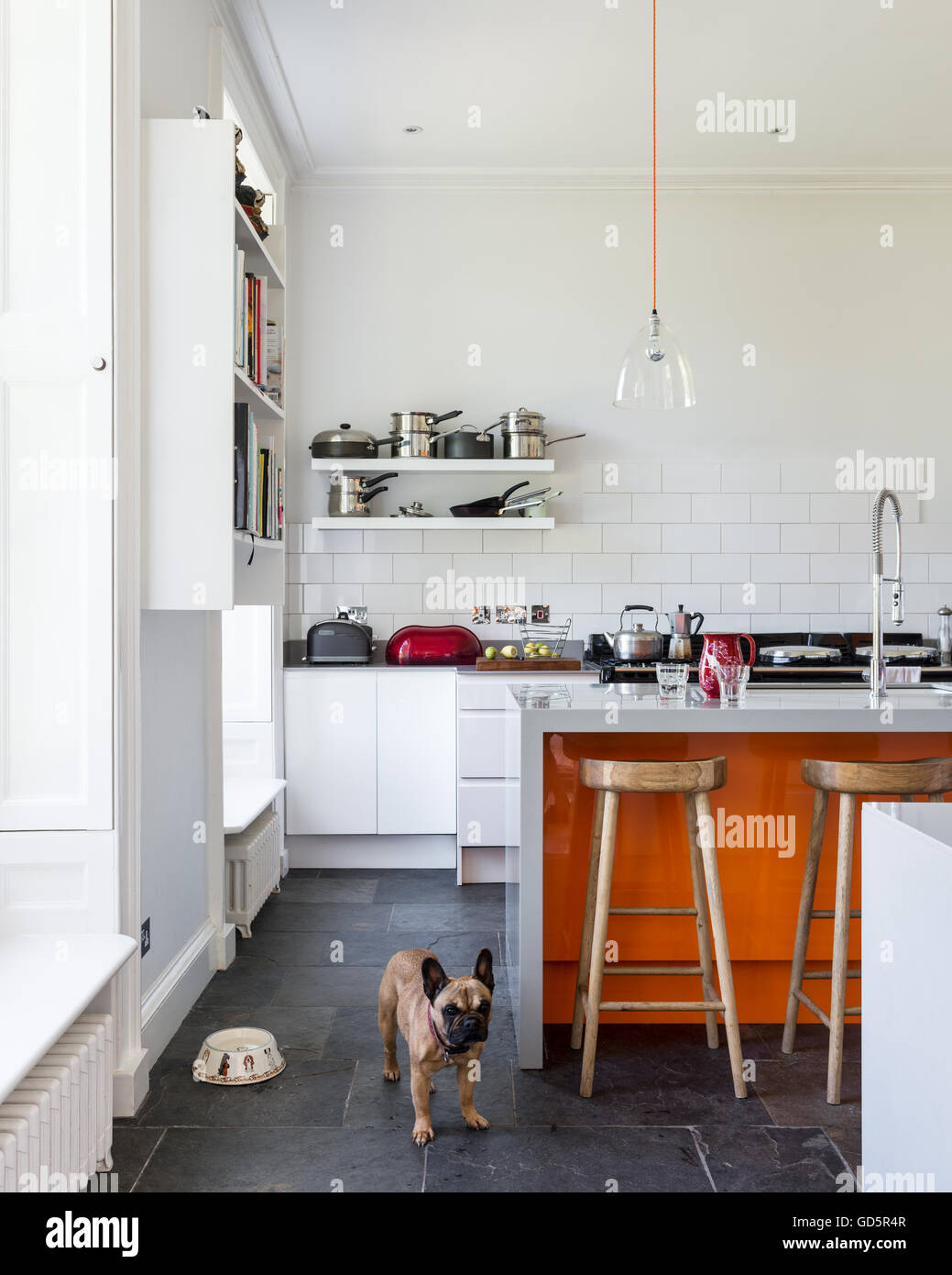 Französische Bulldogge in hohen Decken Küche mit weißen Metro Kacheln und graue zerrissene Schieferboden. Stockfoto