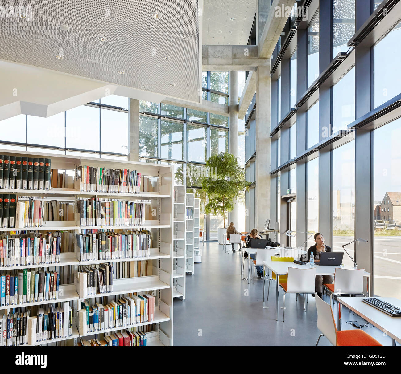 Bibliothek mit raumhohen Fenster. SDU Campus Kolding, Kolding, Dänemark. Architekt: Henning Larsen Architects, 2015. Stockfoto