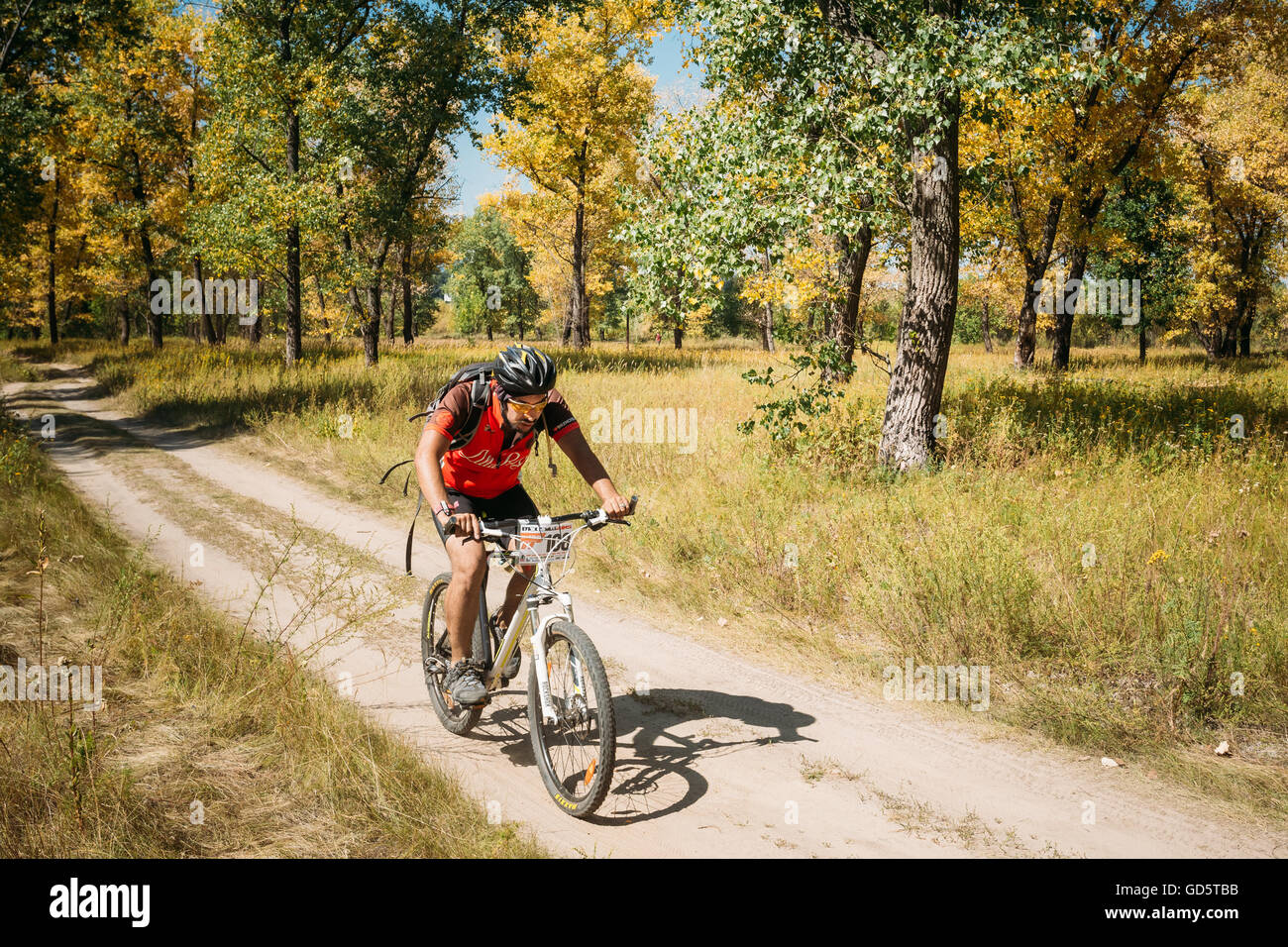 Gomel, Weißrussland - 9. August 2015: Mountain Bike Radsportler Track am sonnigen Tag, gesunde Lebensweise aktive Sportler Sport treiben. Stockfoto