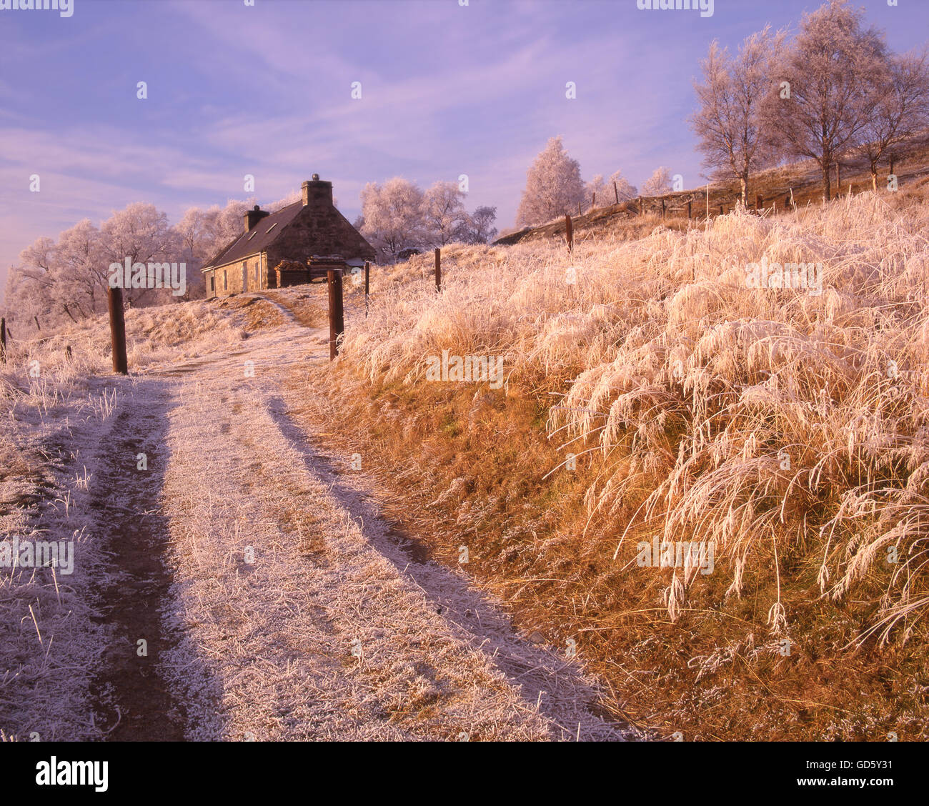 Winter-Szene in der Nähe von Newtonmore, Highlands Stockfoto