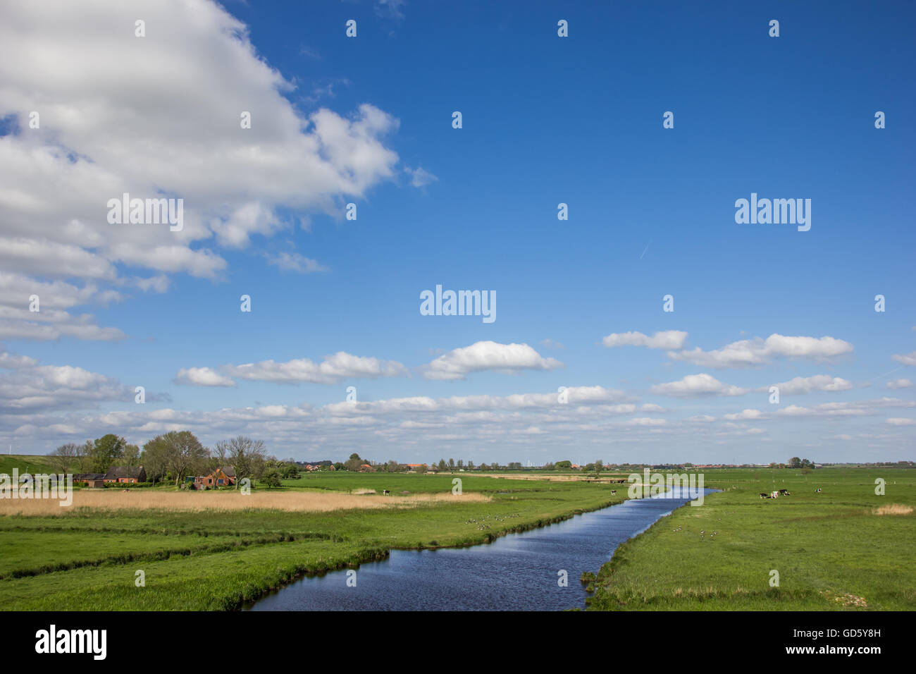Fluss entlang der Dollart-Route in Ostfriesland, Deutschland Stockfoto