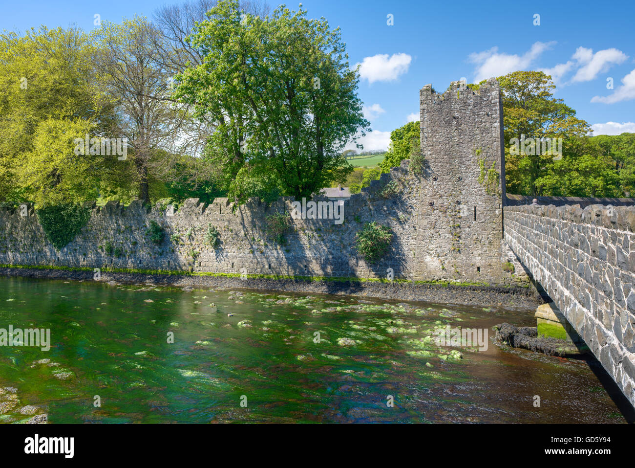 Glenarm (Irisch: Tal der Armee). ein Dorf stammt aus normannischer Zeit inmitten von einem Naturschutzgebiet, Nordirland Stockfoto