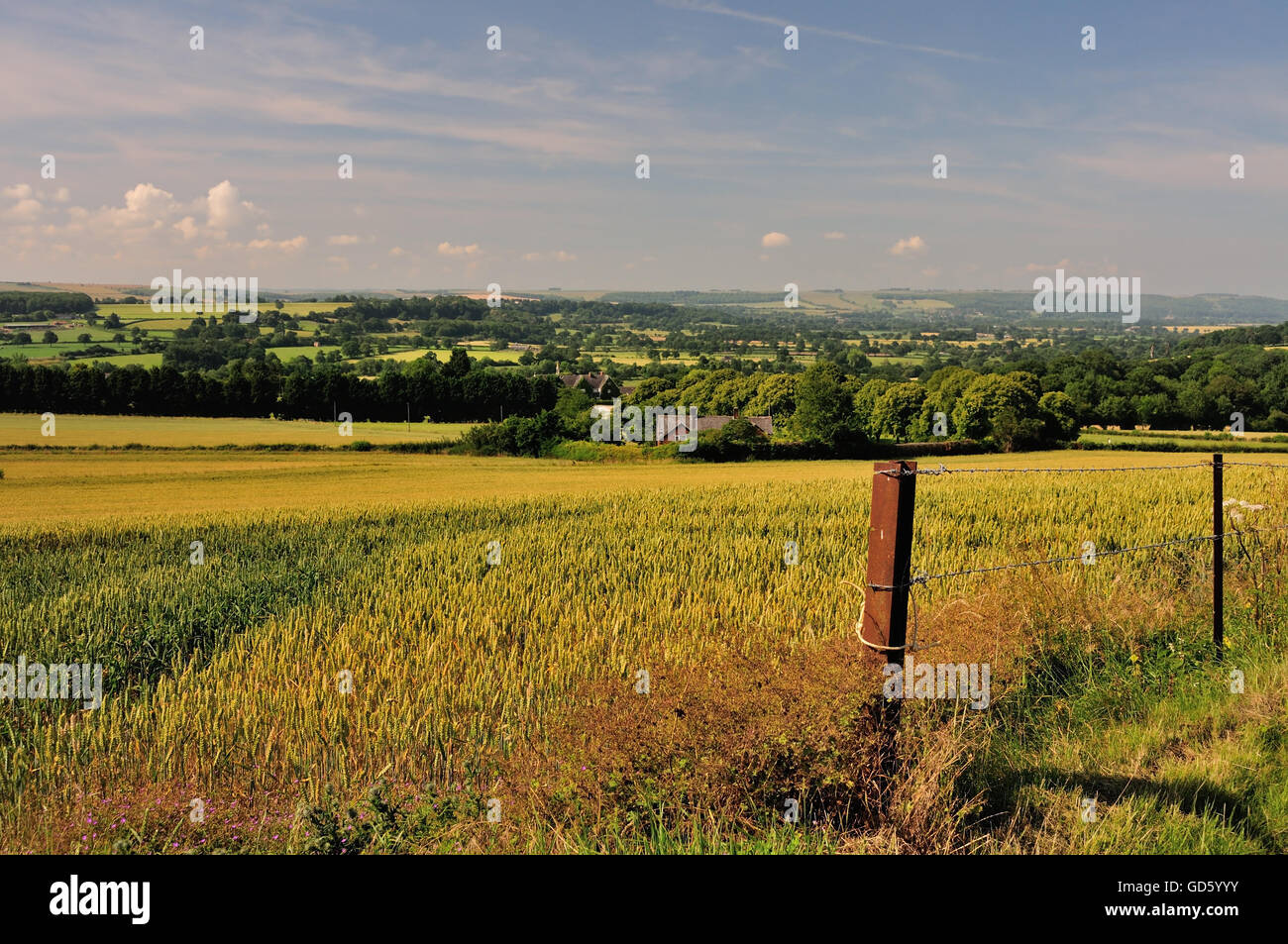 Wiltshire Landschaft oberhalb Stert, Blick in Richtung Salisbury Plain. Stockfoto