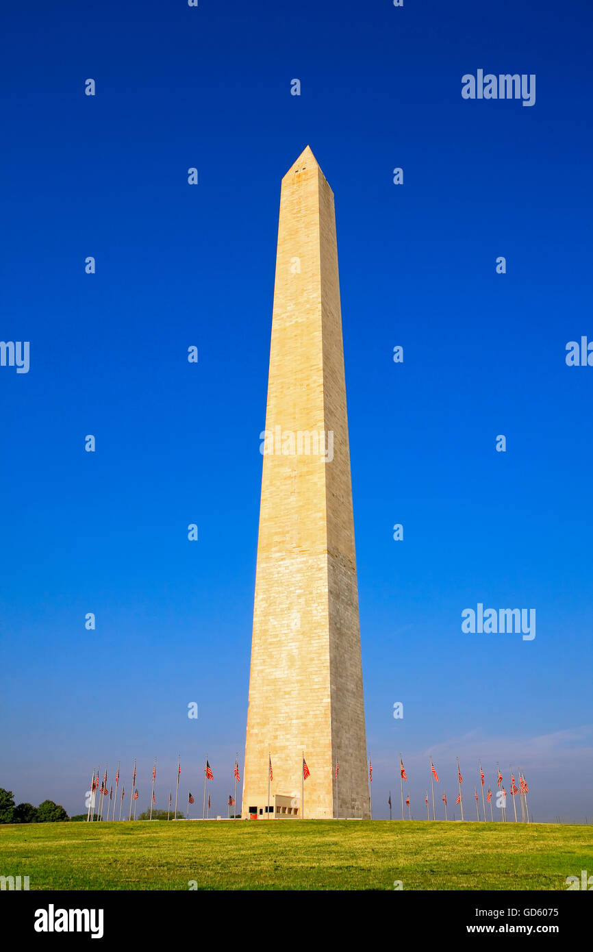Washington Denkmal in Washington, D.C. Stockfoto