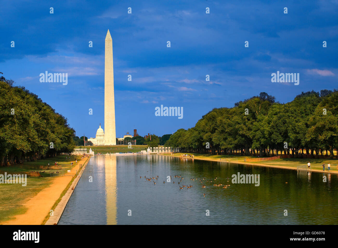 Washington Denkmal in Washington, D.C. Stockfoto