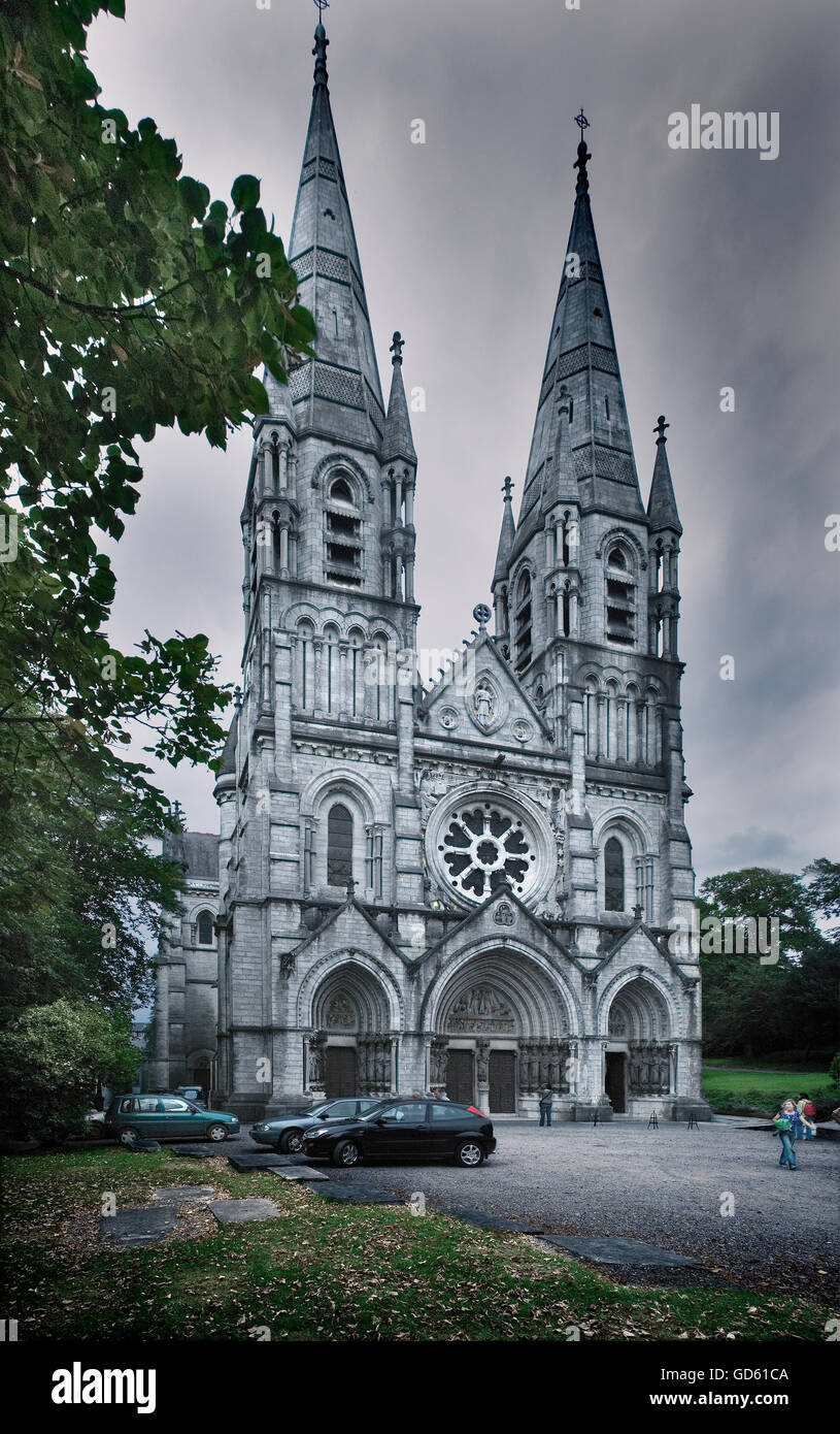 Kathedrale St. Colman in Cobh, Irland Stockfoto