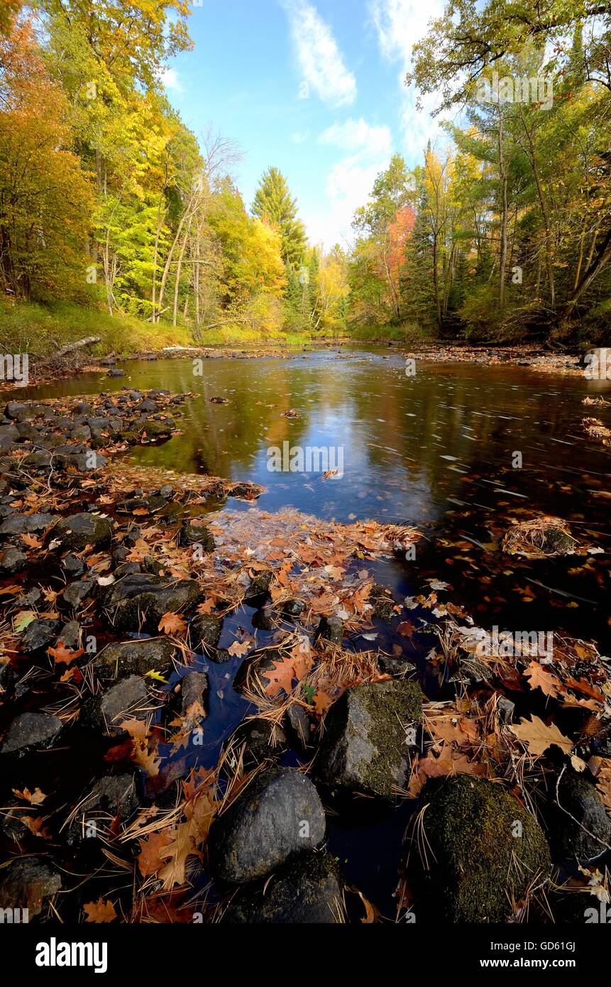 Farben des Herbstes entlang des Pine River in der Nähe von Rutledge, Minnesota Stockfoto