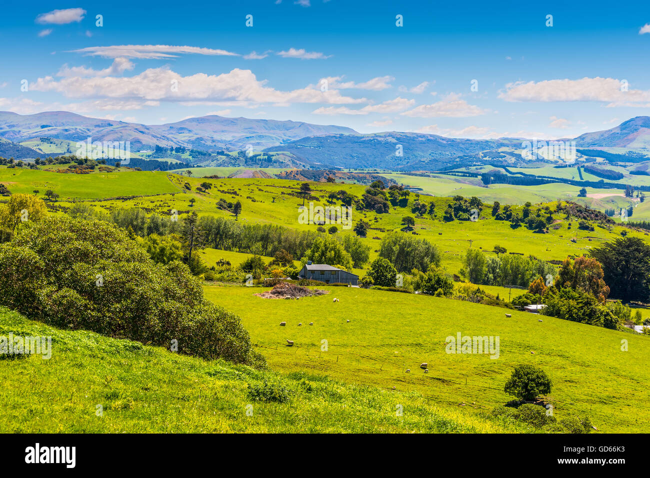 Hill View Bauernhof ländliche Gegend, Region Otago, Neuseeland Stockfoto