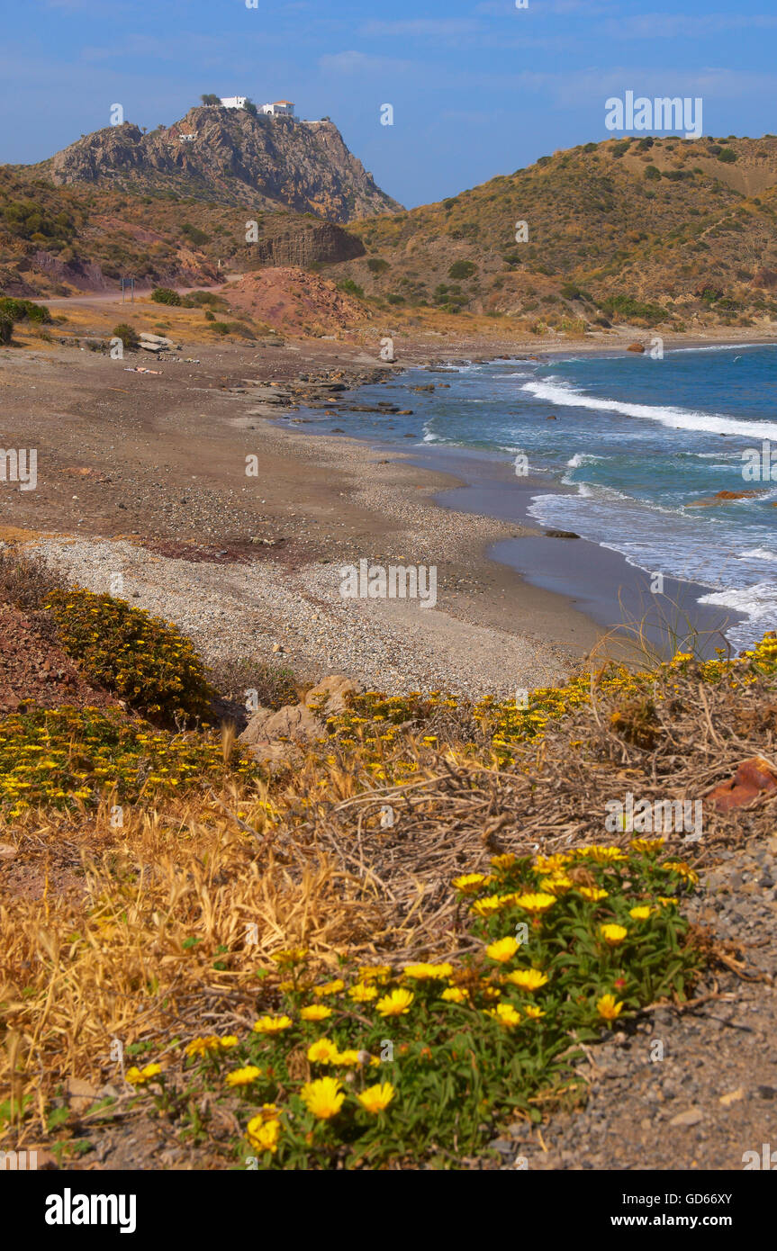Mojacar, Sombrerico Strand, Playa del Sombrerico, Provinz Almeria, Andalusien, Spanien, Europa Stockfoto