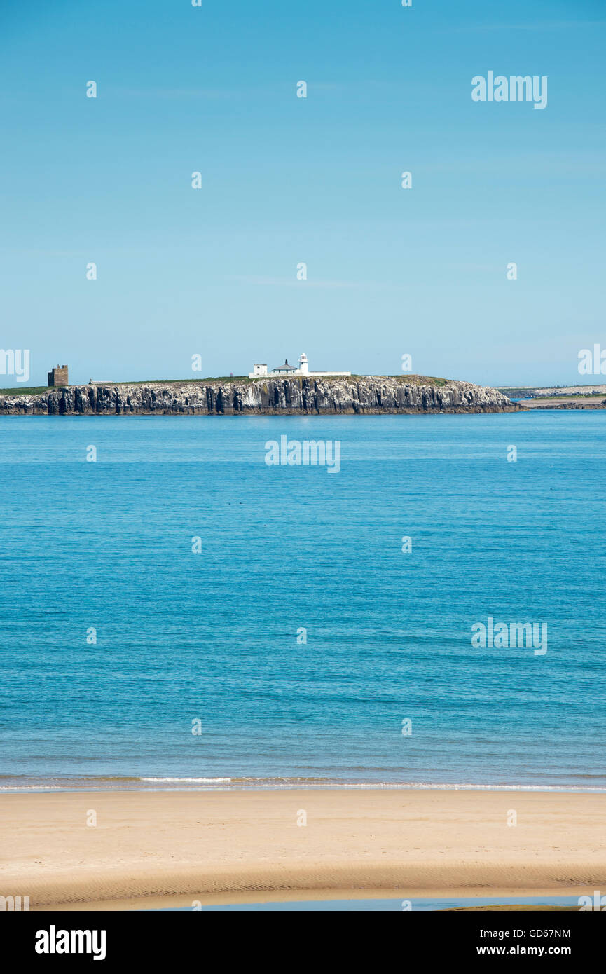 Farne Inseln vor der Küste von Northumberland, England Stockfoto