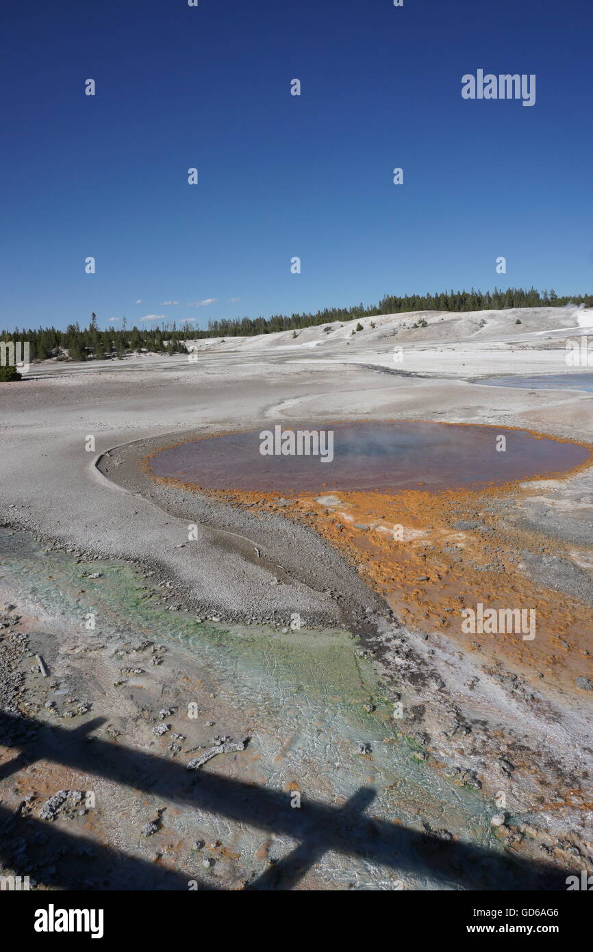 Bunte Sprudel in Norris Geyser Basin, Yellowstone-Nationalpark Stockfoto