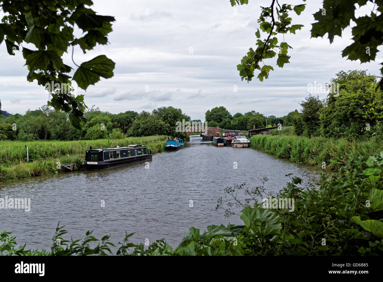 Nachschlagen von Kennet und Avon Kanal in Richtung großes Bedwyn Brücke in der Nähe von Hungerford Stockfoto