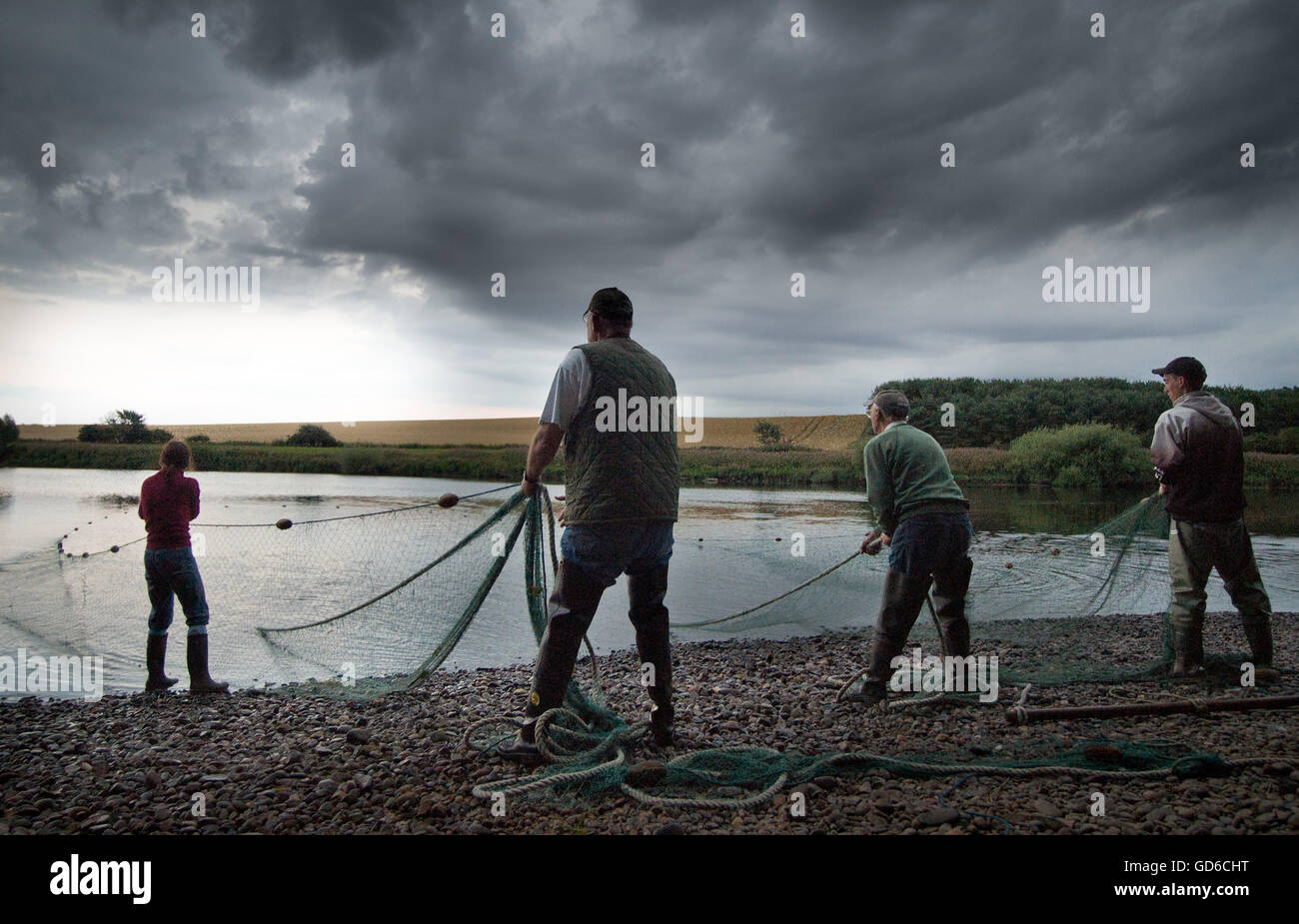 Am frühen Morgen Licht auf dem Fluss Tweed traditionelle Lachs angeln und die Fischer haul in Ihrer Net Stockfoto