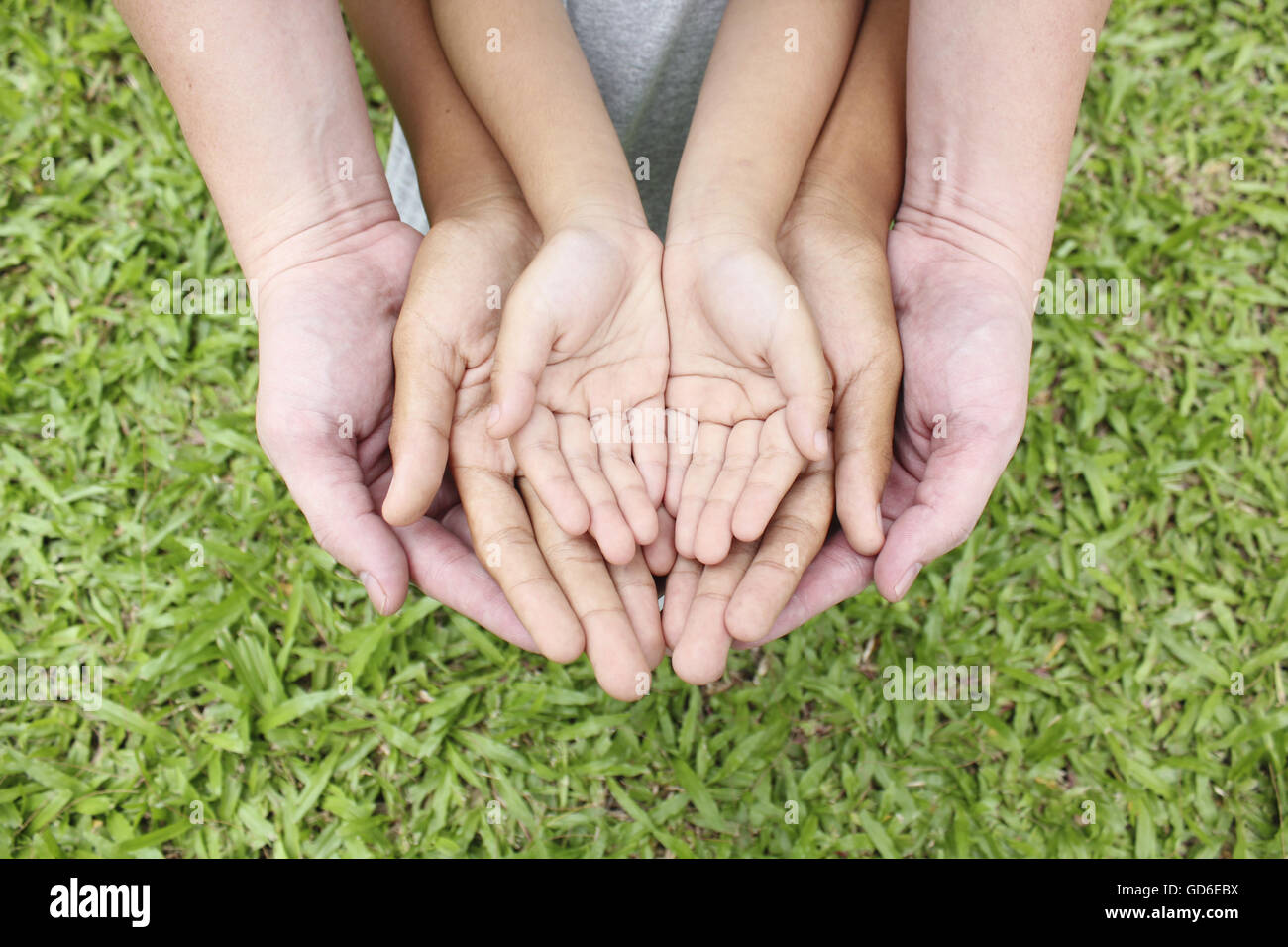 Erwachsenen Hände Kind Händchenhalten über grünen Rasen Hintergrund. Stockfoto