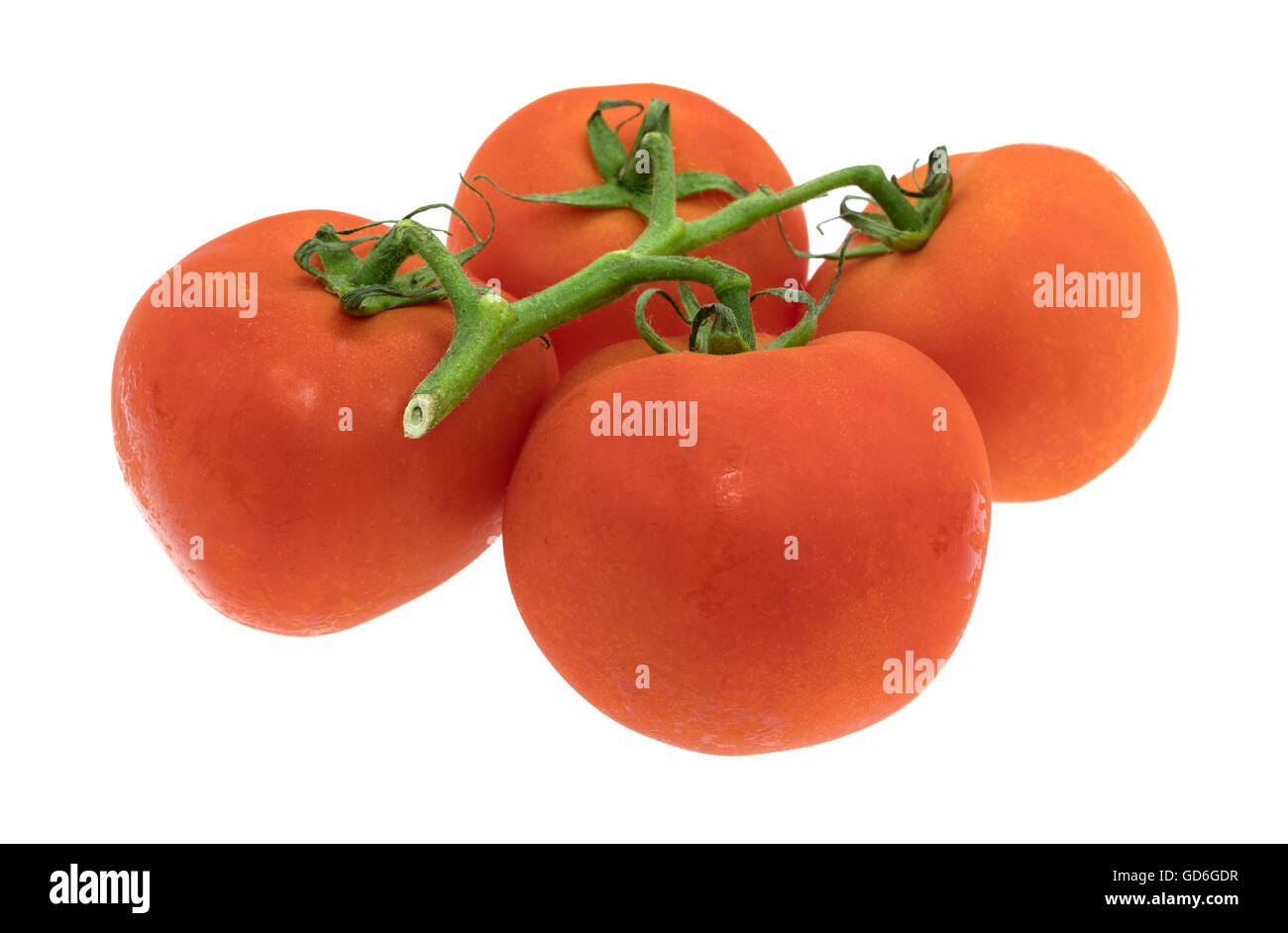 Seitenansicht eines Clusters von Bio rote Tomaten isoliert auf einem weißen Hintergrund. Stockfoto