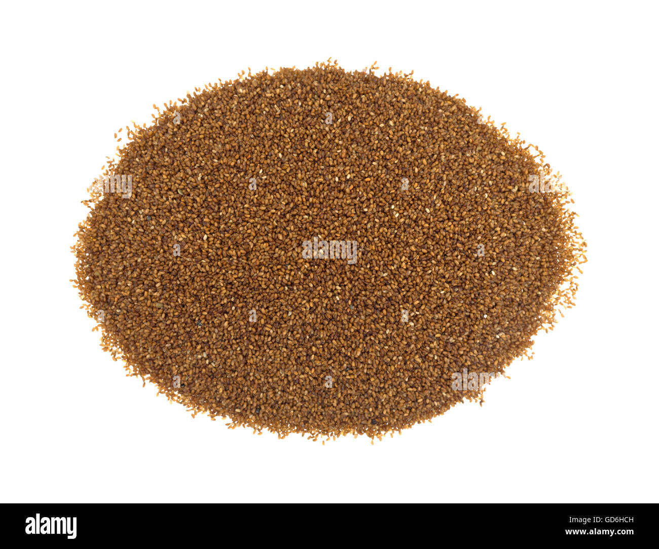 Draufsicht auf einen Teil des Teff Korn isoliert auf einem weißen Hintergrund. Stockfoto