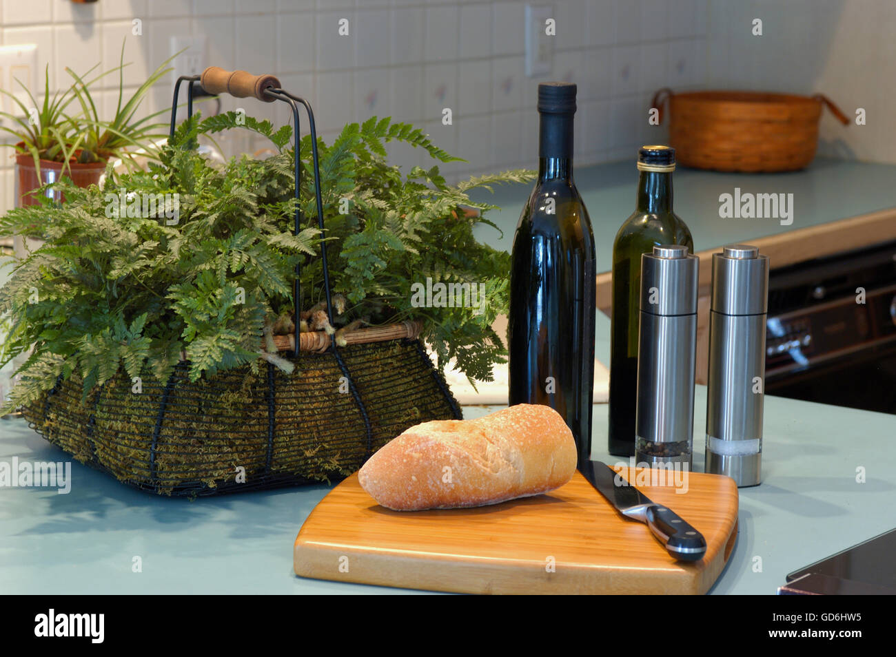 Vögel Fuß Farn, (Davallia, Fejeensis, des Kaninchens Fuß Fern Stockfoto