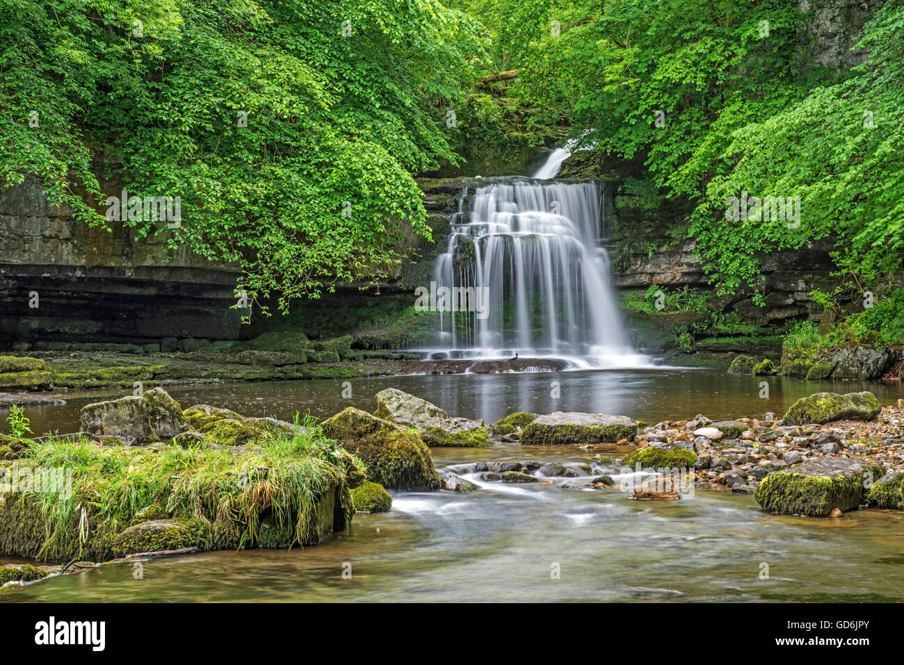 Wasserfälle bei Dorf West Burton, Wensleydale, Yorkshire Dales Stockfoto