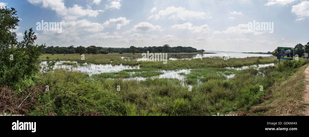 Panorama, aufgenommen am Rande des Minneriya Nationalparks in Sri Lanka. Zeigt den Dschungel, Wald, Teiche im park Stockfoto