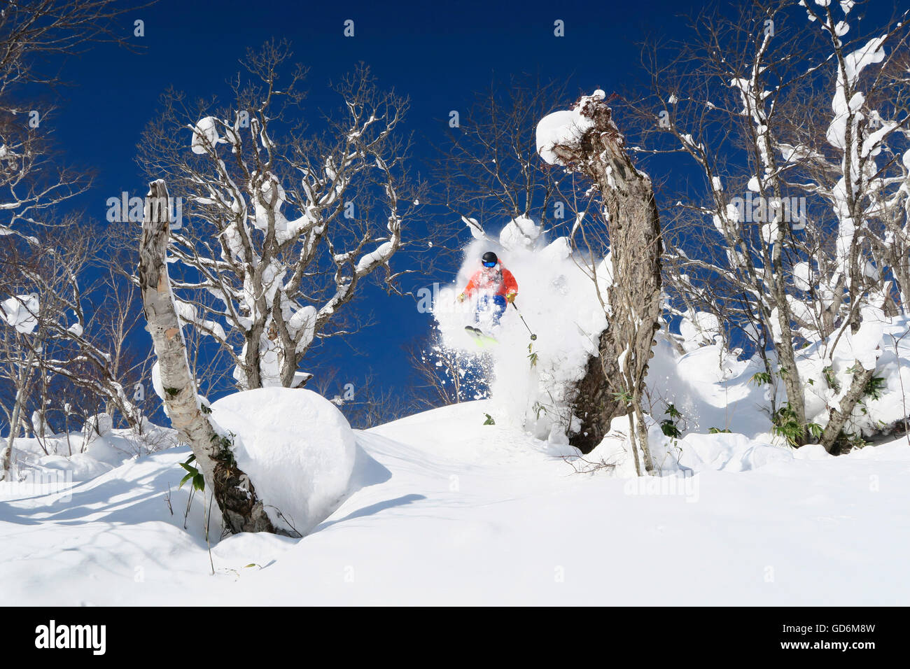 Ein männlicher Skifahrer ist eine Faceshot bekommen, beim Springen durch die Bäume auf einem Hang mit Tiefschnee im Skigebiet Niseko United auf der japanischen Insel Hokkaido.     Niseko United besteht aus vier Resorts auf einem Berg, Annupuri (1, 308 m Stockfoto