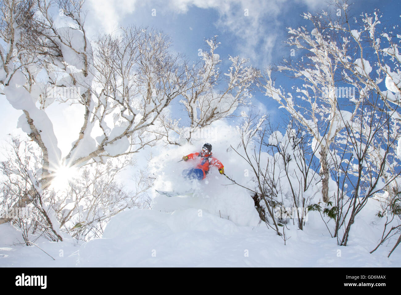 Ein männlicher Skifahrer ist eine Faceshot bekommen, beim Springen durch die Bäume in einen Hang mit Tiefschnee im Skigebiet Niseko United auf der japanischen Insel Hokkaido.     Niseko United besteht aus vier Resorts auf einem Berg, Annupuri (1, 308 m Stockfoto