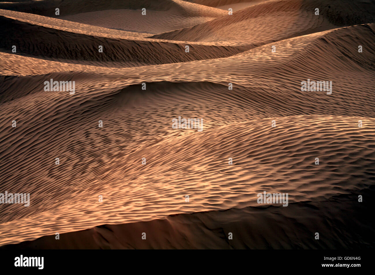 Gelber Sand mit Rippelmarken in der Wüste Sahara, Süd-Tunesien, Tunesien, Maghreb, Nordafrika, Afrika Stockfoto
