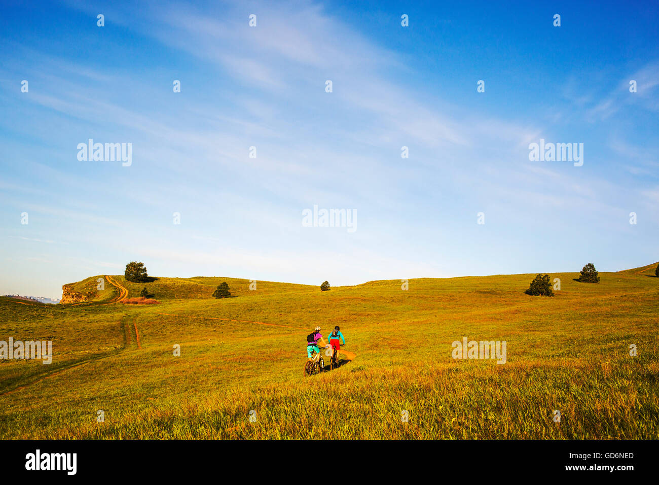 Zwei junge Frauen fahren auf einem einspurigen Pfad durch grünen Rasen im morgendlichen Sonnenlicht Mountainbikes. Stockfoto