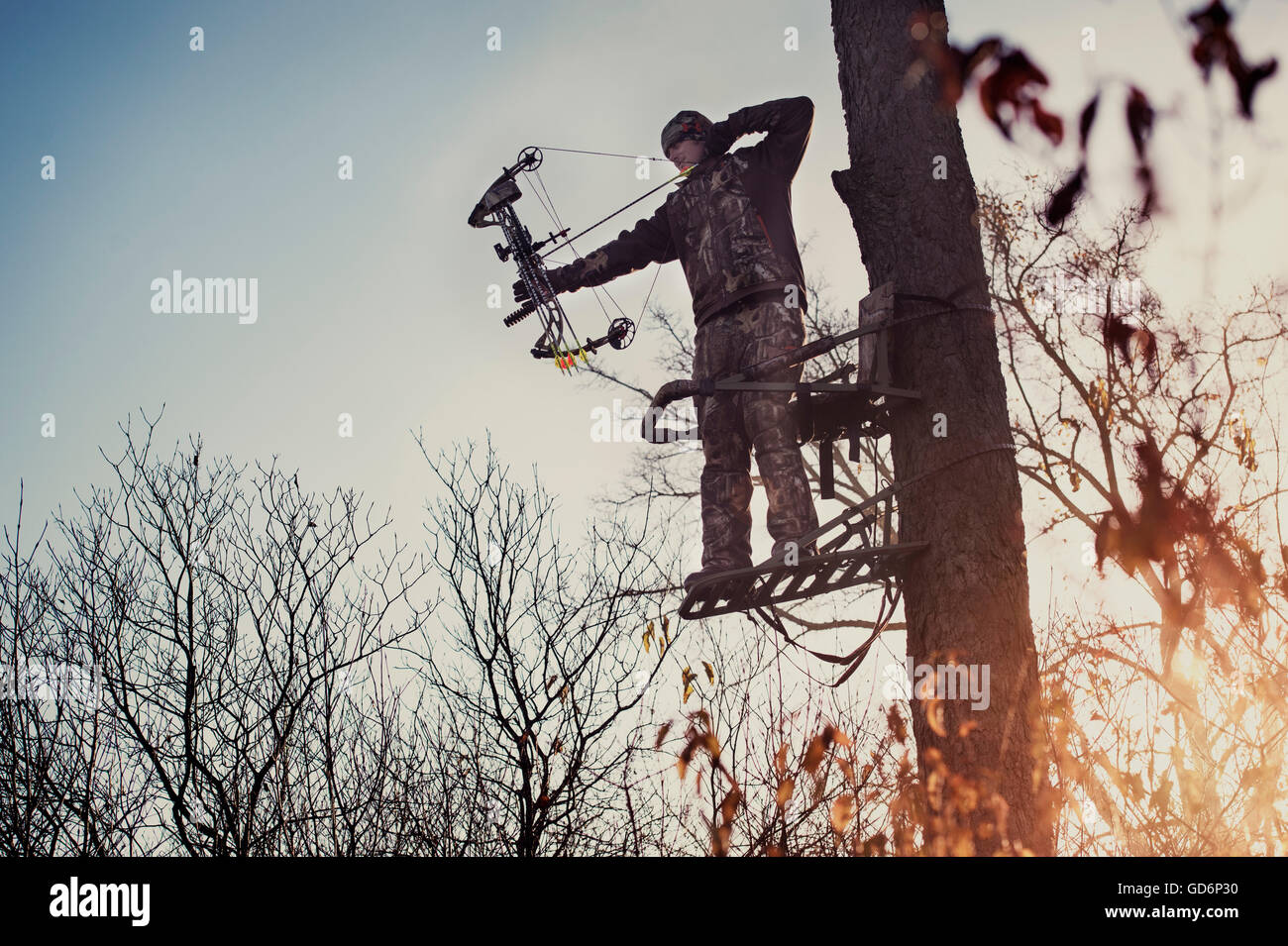 Junge Erwachsene männliche Jäger in Baum Hirsche stehen bereit, um den Bogen zu schießen Stockfoto