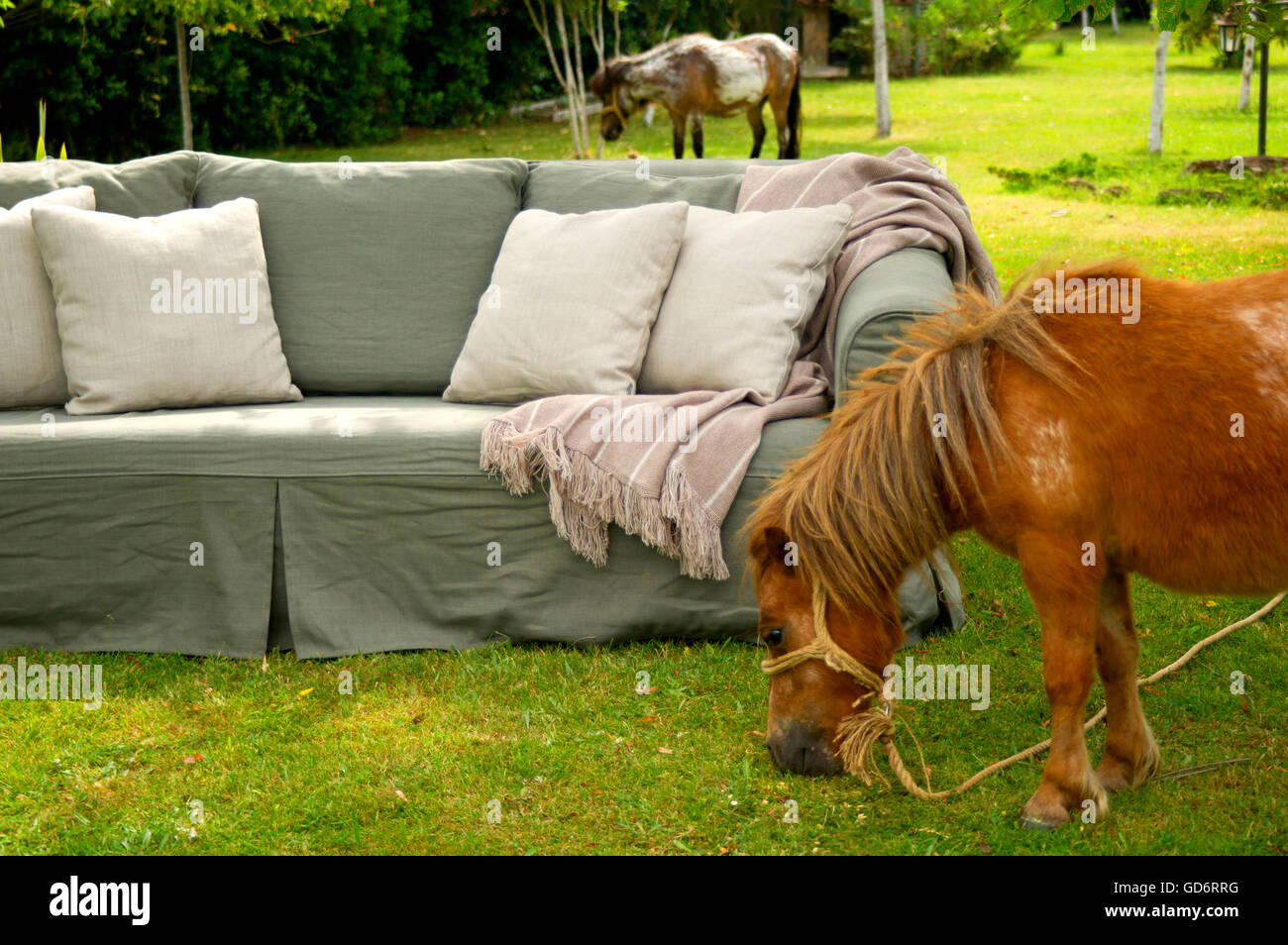 Sofa im Garten Stockfoto