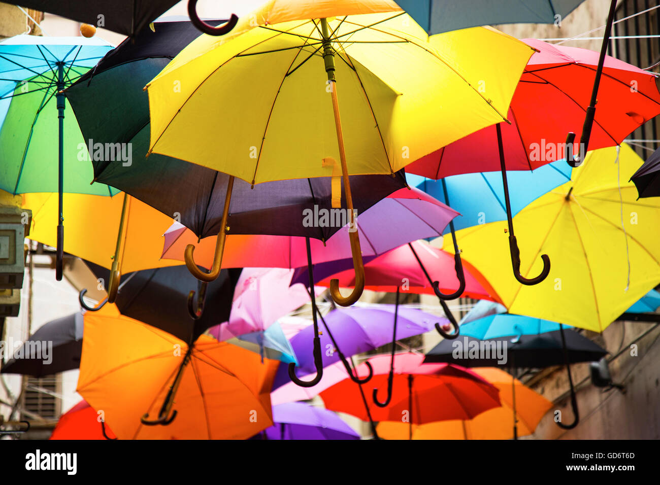 Bunte Schirme Stockfoto