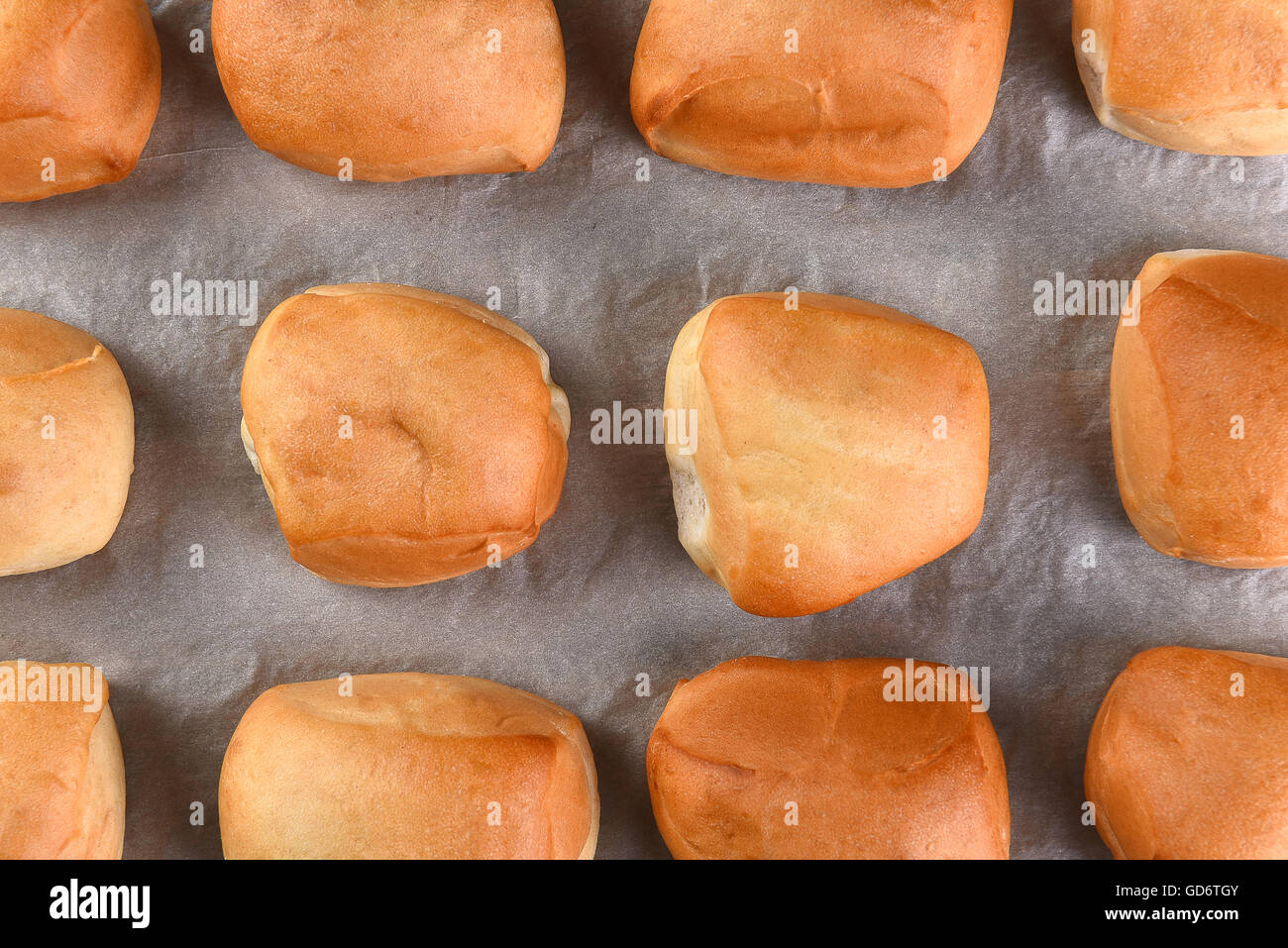 Closeup Draufsicht des frisch gebackenen Abendessen rollt auf Pergamentpapier. Stockfoto