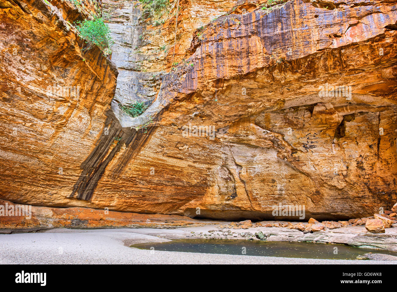 Cathedral Gorge, Bungle Bungles Nationalpark, Northern Territories, Australien Stockfoto