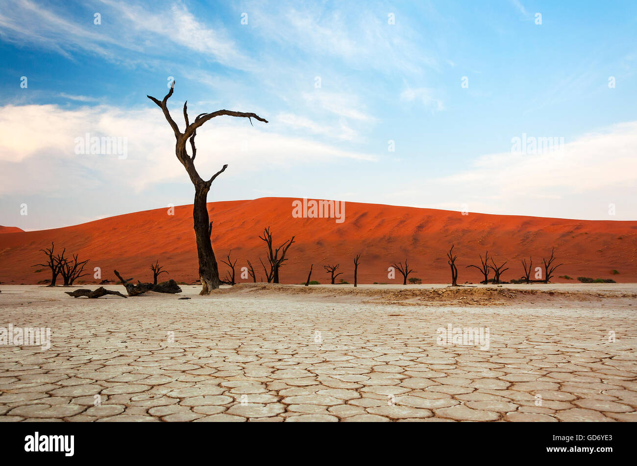 Tote Bäume und roten Dünen im Dead Vlei, Sossusvlei, Namibia Stockfoto