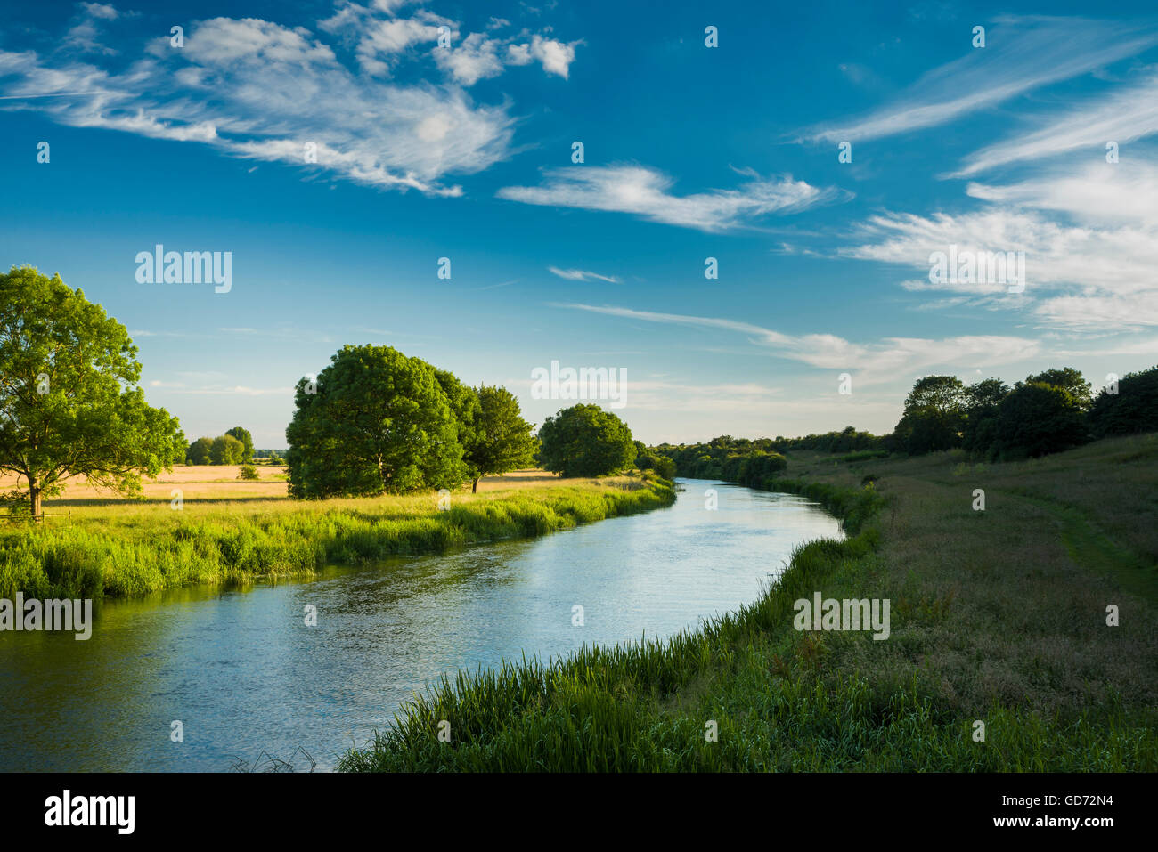 Der Fluss Nene an einem lauen Sommerabend, Peterborough, Cambridgeshire, England Stockfoto