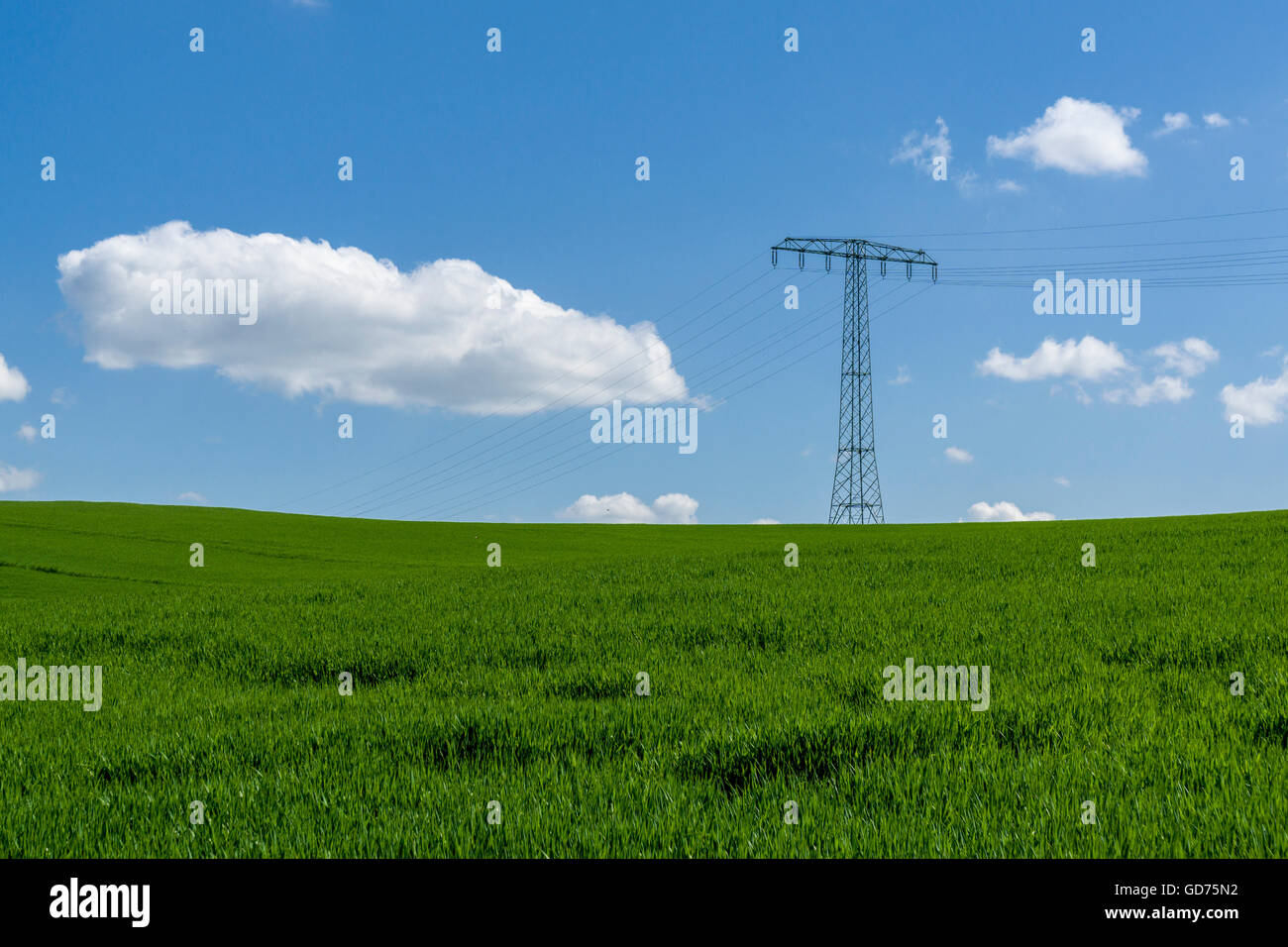 Agrarlandschaft mit obenliegenden Stromleitungen, grünen Wiesen und blauen Wolkenhimmel, Cunnersdorf, Sachsen, Deutschland Stockfoto