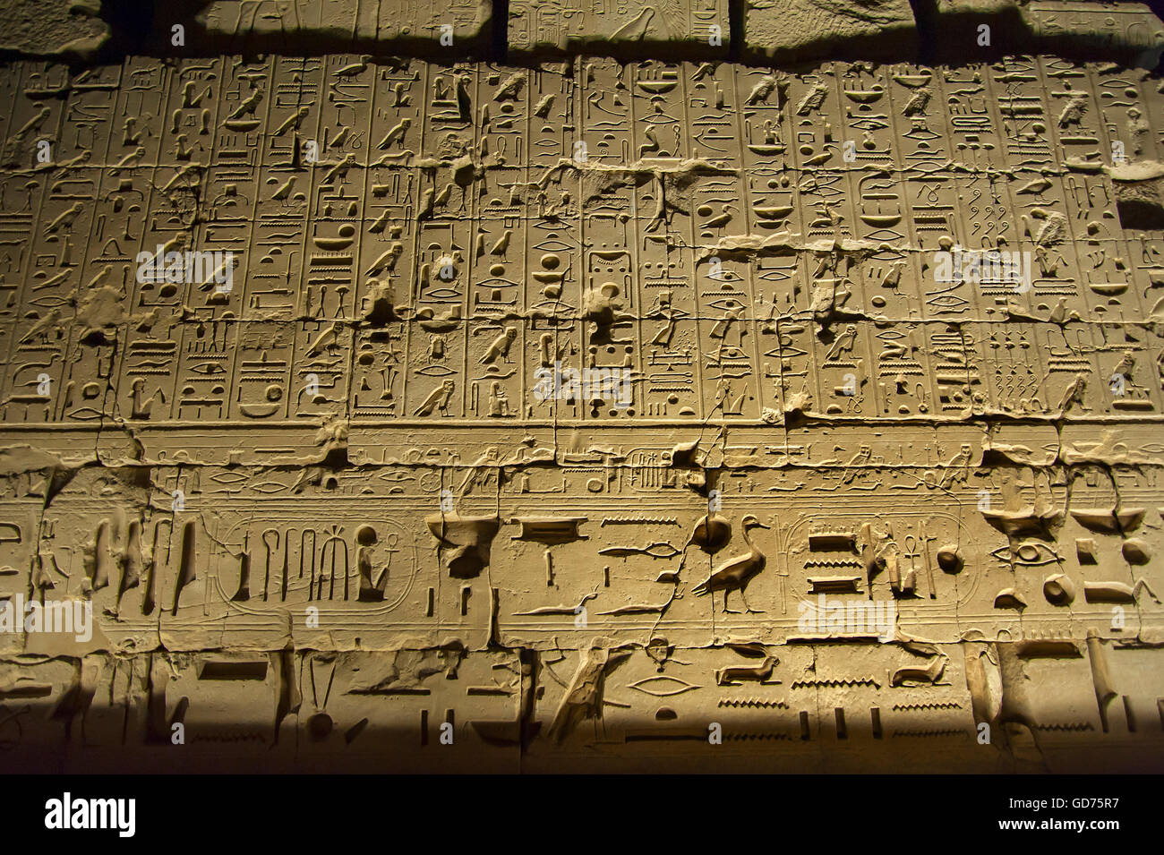 Ägyptische Hieroglyphen, Relief, Tempel-Komplex-Karnak-Tempel, Karnak, Luxor, Ägypten Stockfoto