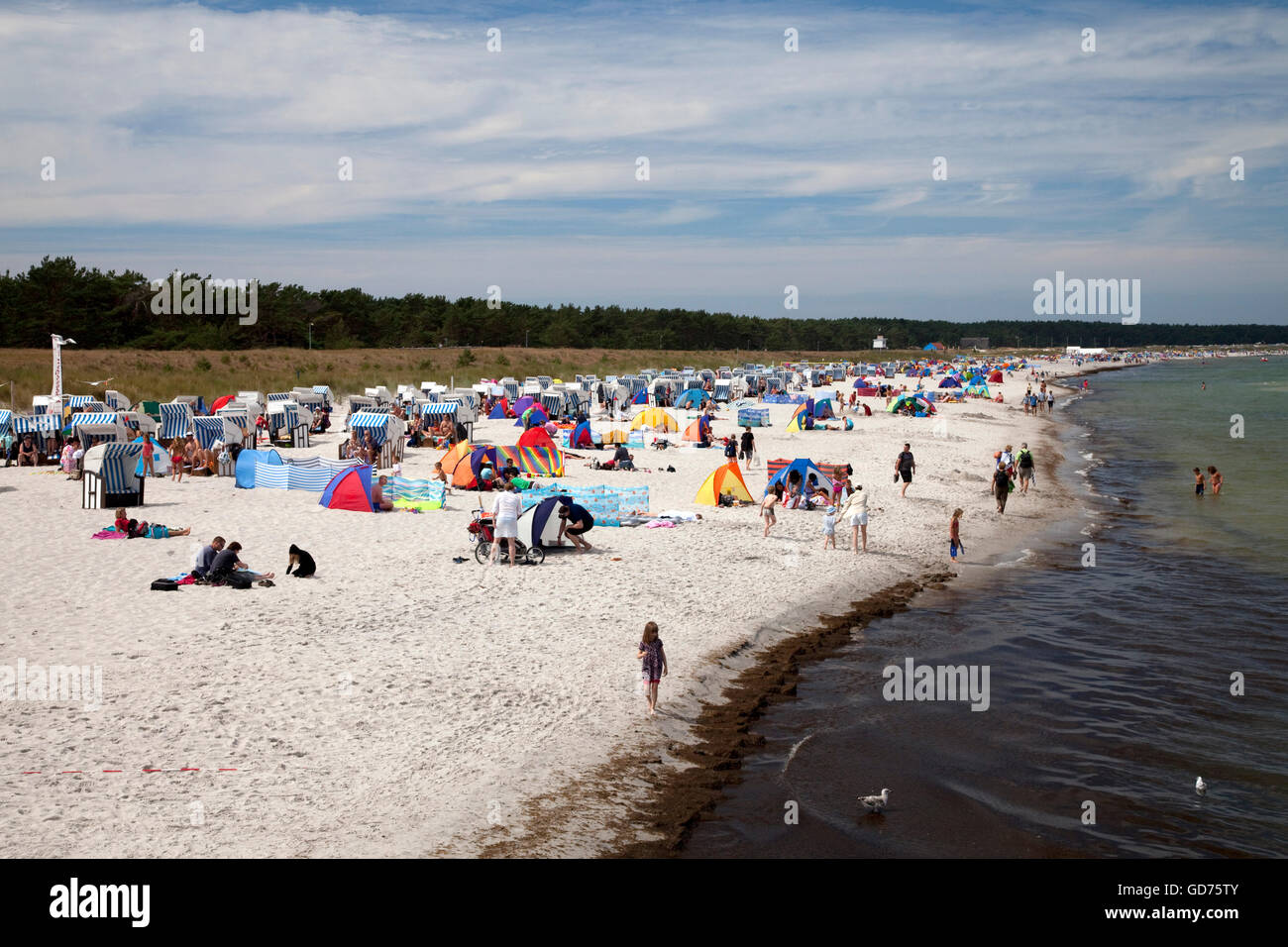 Strand, Ostseebad Prerow, Halbinsel Fischland-Darß-Zingst, Mecklenburg-Vorpommern Stockfoto
