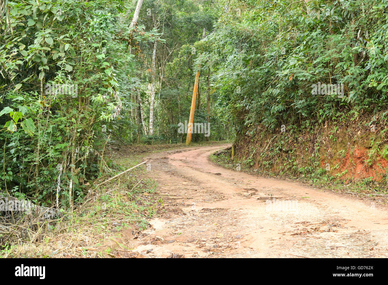 Ein Feldweg in der Landschaft von Itaipava, Petropolis, Brasilien Stockfoto