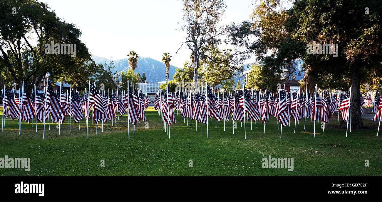 Bereich der amerikanische Flaggen. Memorial Day Feiertag. Stockfoto